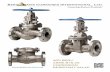 David Berra BC - Beric Valves ·  api 603/ asme b16.34 corrosion resistant valve