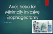 Anesthesia for Minimally Invasive Esophagectomy · Early Surgical Approaches Dr. Franz Torek Pioneer in thoracic surgery Credited with the 1st thoracic esophagectomy in 1913 Utilized