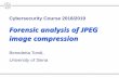 Forensic analysis of JPEG image 2019-06-01¢  Summary ¢â‚¬¢ Introduction to JPEG ¢â‚¬¢ What is image compression?