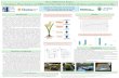 48x36 Poster Template - Lehman College · Initially, the stems were cut at the base and xylem sap was collected from each of the plants and frozen. This sap will be analyzed for GSH