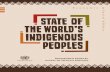 Indigenous Peoples’ United Nations access to Health Services · 2016-06-09 · ξ v Indigenous Peoples access to Health Services Foreword to the State of the World’s Indigenous