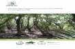 Nasoata Island Mangrove Conservation Area …...1 Nasoata Island Mangrove Conservation Area (NIMCA) Co-management Plan Etika Rupeni MANGROVE ECOSYSTEMS FOR CLIMATE CHANGE ADAPTATION