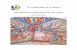 O. V. Korenkov, G. F. Tkach TOPOGRAPHIC ANATOMY OF THE … · Topographical anatomy of the chest : study guide / O. V. Korenkov, G. F. Tkach. – Sumy : Sumy State University, 2018.