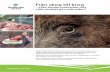 Från skog till krog - Jordbruksverket...Från skog till krog – Vilka hinder motverkar mer vildsvinskött på marknaden? • Idag är kostnaderna höga i hela kedjan för att hantera