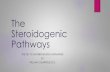The Steroidogenic Pathwaysnevadaosteopathic.org/attachments/article/52/The Steroidogenic Pathways.pdfProvide Steroidogenic Pathway Review Both Positive and Negative Review Influences