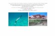 Surveys of the Sea Snakes and Sea Turtles on Reefs …...Surveys of the Sea Snakes and Sea Turtles on Reefs of the Sahul Shelf Monitoring Program for the Montara Well Release Timor