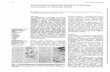 Clin Pathol Immunohistochemical analysis amylase ...cosidic according to Rosai's classification and that of l types theWHO.'314 Aluding For the immunohistochemical analysis of mam-