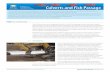 Part 1: Overview · traversing the culvert. Fish passage objectives should be determined based on target fish species and life stages. Common causes of fish passage barriers and damage