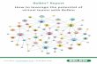 Belbin® Report How to leverage the potential of virtual ... · Virtual teams carry a lot of potential. In deploying virtual teams, organizations can gather the best humancapitalfor