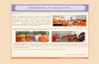 ARADHANA AT ANAIKATTI - Arsha Vidya Gurukulam Swamijis... · 2017-10-30 · 14 Arsha Vidya Newsletter - October 2017 15 Aradhana at Theni Pujya Swamiji’s aradhana was done at Theni