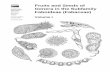Fruits and Seeds of Genera in the Subfamily Faboideae ... · Genera in the Subfamily Faboideae (Fabaceae) Volume I Joseph H. Kirkbride, Jr., Charles R. Gunn, and Anna L. Weitzman