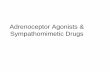 Adrenoceptor Agonists & Sympathomimetic Drugsmsg2018.weebly.com/uploads/1/6/1/0/16101502/adrenoceptor_agonists2013-14.pdf•Effects of Beta-Receptor Activation •Stimulation of β