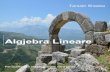Algjebra Lineare - albanian-j-math.comalbanian-j-math.com/lb/01.pdf · përbëjnë bazën kryesore të formimit matematik për studentët e shkencave natyrore dhe shumicës së degëve