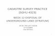 CADASTRE SURVEY PRACTICE (SGHU 4323) · cadastre survey practice (sghu 4323) week 12-disposal of underground land (stratum) sr dr.tan liat choon 07-5530844 016-4975551 1
