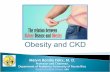 Obesity and CKD - University of Miamipediatrics.med.miami.edu/documents/Melvin_Bonilla-Felix_-_Role_of_Obesity_and_CKD.pdfand CKD. Obesity Facts – WHO 2016 • 41 million children