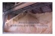FGD Gypsum in Wallboard and Other Products · FGD Gypsum vs Rock Gypsum • Gypsum is Gypsum – FGD or Rock • FGD and Rock Gypsum have similar major impurities – Limestone, Salts