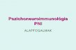Pszichoneuroimmunológia PNI - u-szeged.huweb.med.u-szeged.hu/magtud/magyar_ok/Eloadasok/Orv...A hosszú szenzoros hurkok, amelyek az immunrendszer és központi idegrendszer közötti