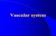 Vascular system Units/Veterinary_Services/Kimron... · 2. gastrosplenic vein, 3. gastroduodenal vein, 4. portal vein. 5. left branch of portal vein. 6. posterior caval vein, 7. azygos