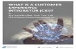 WHAT IS A CUSTOMER EXPERIENCE INTEGRATOR (CXI)? · Integrator to a CXI Every systems integrator and every large-scale agency is now working to solve the CX design problem. They are
