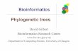 Bioinformatics Phylogenetic treespeople.brunel.ac.uk/~csstdrg/courses/glasgow_courses/website... · (c) David Gilbert 2008 Phylogenetic Trees 3 Phylogenetic Trees •Phylogeny : The