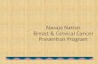Navajo Nation Breast & Cervical Cancer Prevention Programkeepitsacred.itcmi.org/wp-content/uploads/sites/5/2016/05/PSE-Panel-Navajo-Nation-BCCP.pdfThe Breast & Cervical Cancer Mortality