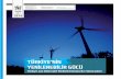 TÜRKİYE’NİN YENİLENEBİLİR GÜCÜd2hawiim0tjbd8.cloudfront.net/downloads/wwf_turkiye...10 TÜRKİYE’NİN YENİLENEBİLİR GÜCÜ Türkiye için Alternatif Elektrik Enerjisi