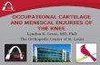 OCCUPATIONAL CARTILAGE AND MENISCAL INJURIES OF THE … · OCCUPATIONAL CARTILAGE AND MENISCAL INJURIES OF THE KNEE Lyndon B. Gross, MD, PhD The Orthopedic Center of St. Louis