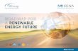 RENEWABLE ENERGY FUTURE · RENEWABLE ENERGY FUTURE ... The second edition of IRENA’s global renewable energy roadmap – REmap – shows how the world can double the share of renewable