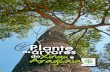 Plante árvores as doXingue Araguaiaagrofloresta.net/static/publicacoes/Plante_arvores_Xingu_Araguaia-guia-ISA.pdfInstituto Socioambiental O Instituto Socioambiental (ISA) é uma associação