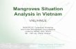 Mangroves Situation Analysis in Vietnamlibrary.enaca.org/mangrove/publications/ppt/Mangroves_Situation... · Mangroves Situation Analysis in Vietnam VNU/HNUE MANGROVE Consortium Workshop
