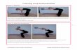 Træning med Redondobold...Træning med Redondobold Udarbejdet af: Nanna Gade, Fysioterapeut Model: Helle Orbesen og Nanna Gade 2 Øvelse 3 • Back lunges med rotation Træd bagud