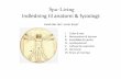 Indledning til anatomi fysiologi - Spa-LivingStorhjernen (cerebrum) Lillehjernen (cerebellum) Herunder en kort oversigt over hvilke centre, der ligger hvor… • Tanker • Indlæring
