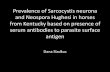 Prevalence of Sarcocystis neurona and Neospora Hughesi in ......Dana Sladkus. Prevalence of Sarcocystis neurona and Neospora Hughesi in horses from Kentucky based on presence of serum