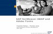 SAP NetWeaver ABAP and Adobe Forms · SAP NetWeaver Product Management SAP Labs SAP NetWeaver ABAP and Adobe Forms. Introduction Technology Integrated Solutions Adobe Print Forms