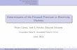 DeterminantsoftheForwardPremiuminElectricity Markets · The Financials of Electricity The Theoretical Model Empirical Analysis Conclusions DeterminantsoftheForwardPremiuminElectricity