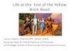 The Yellow Brick Road1[1] - Skaggs School of Pharmacy · Life at the End of the Yellow Brick Road James Colbert, PharmD, RPh, FASHP, FCSHP Associate Dean & Clinical Professor of Pharmacy