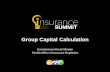 Group Capital Calculation...group capital calculation • Objective 2-identify the material decision points that are ongoing for the Group Capital Calculation Working Group (GCCWG)