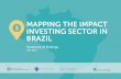 MAPPING THE IMPACT INVESTING SECToR IN bRAZIL · of the impact investing sector in Brazil reveals signifi cant market growth. Nineteen of Brazil’s largest impact investors, including