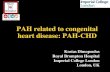 PAH related to congenital heart disease: PAH-CHDstatic.livemedia.gr/livemedia/documents/al4051_us63... · 2014-05-10 · PAH related to congenital heart disease: PAH-CHD Kostas Dimopoulos