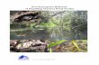 Post-Emergence Behavior of Hatchling Western Pond Turtlespeople.oregonstate.edu/~rosenbed/articles/Post... · Post-Emergence Behavior of Hatchling Western Pond Turtles 7 We conducted