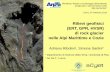 Rilievi geofisici (ERT, GPR, HVSR) di rock glacier …...Rilievi geofisici (ERT, GPR, HVSR) di rock glacier nelle Alpi Marittime e Cozie Adriano Ribolini1, Simone Sartini2 1 Dipartimento