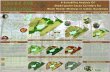 A Suitability Analysis Of Shade grown Cacao Corridors for ... · grown cacao, as areas such as mangrove are unsuitable for this type of agroforestry. Cropland or pasture are ideal,