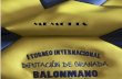 INTRODUCCIÓN · 2019-02-03 · Deportiva Diputación de Granada para el desarrollo del torneo. Dichas instalaciones ubicadas en Armilla forman parte de la historia del balonmano