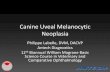 Canine Uveal Melanocytic Neoplasia - Nc State University...Canine Uveal Melanocytic Neoplasia Philippe Labelle, DVM, DACVP Antech Diagnostics. 12 th Biannual William MagraneBasic Science