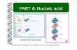 PART 4: Nucleic acid - MWITteppode/53_NUCLEIC ACID [Compatibility...โครงสร างของน วคล โอไทด-ไนโตรเจนเบส-น าตาลท