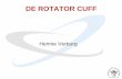 DE ROTATOR CUFF · 2015-02-11 · Infraspinatuspees bestaat uit 2 gedeelten; dorsale transverse laag ventrale oblique laag . Anatomie delaminatie