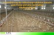 Extensivierung der Hähnchenproduktion braucht gute Preise und … · 2016-06-30 · Geflügeltag NRW Haus Düsse, 05.Mai 2014 Extensivierung der Hähnchenproduktion braucht gute