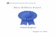 Blue Ribbon Panel - MTAweb.mta.info/mnr/html/BlueRibbonPanelFinalReport.pdf · BLUE RIBBON PANEL’S OBJECTIVES ... inspection, maintenance and replacement programs with an eye toward