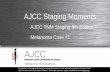 AJCC Staging Moments Case 1.pdf · – cTis for melanoma in situ – cN0 because nodes were clinically negative on physical exam* – cM0 because there were no signs or symptoms to