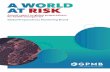 A WORLD AT RISK · 2019-09-30 · page v a world at risk page 1 progress, challenges, actions page 7 1. leadership drives progress page 8 2. building effective systems page 12 3.